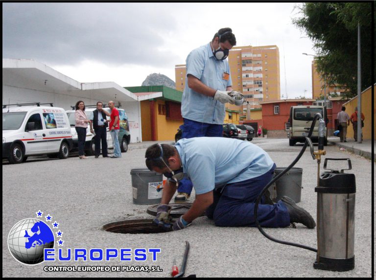 Trabajadores de Europest trabajando Control de Plagas